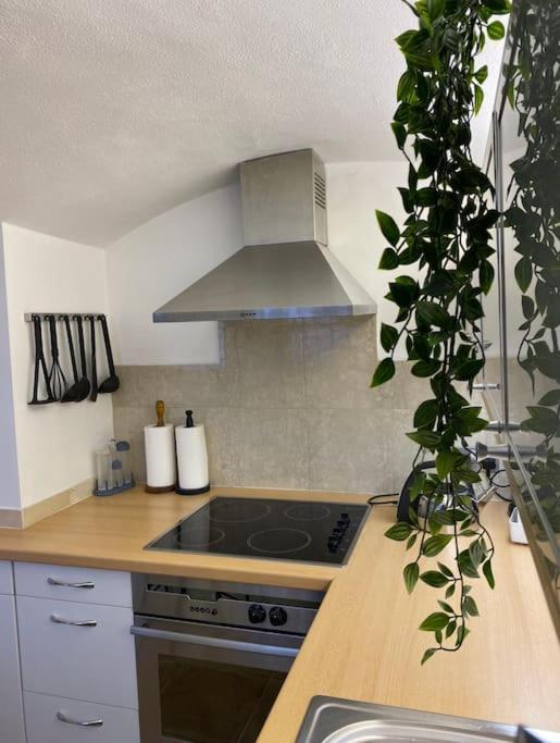 Spacious Flat In The Most Desirable Area Of Λονδίνο Εξωτερικό φωτογραφία